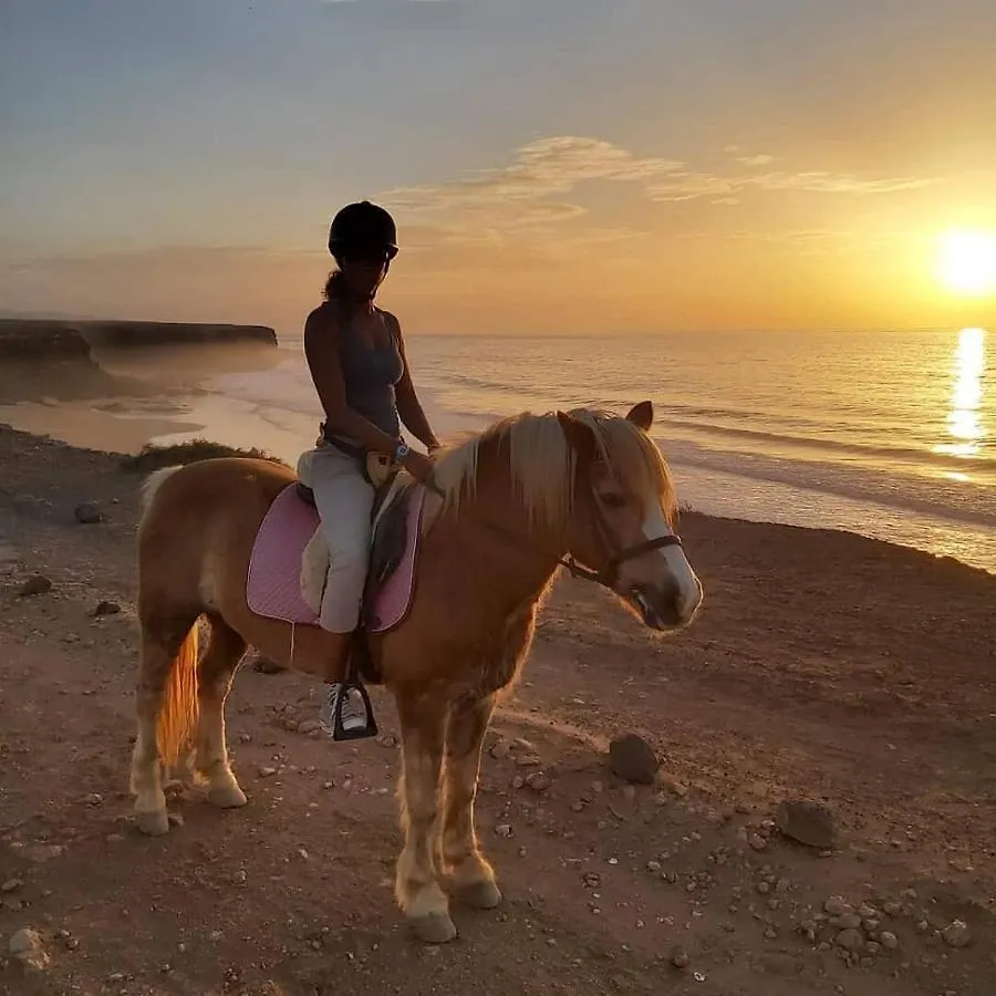 Alaia Tiny House Between Volcanoes And Beach Breaks Pansiyon Cotillo